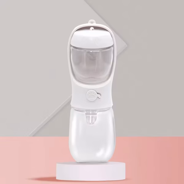 2-in-1 water bottle